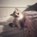 @2lws8