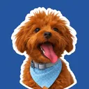 @leothecavapookie
