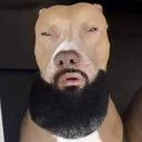 @abcdeeeznuts