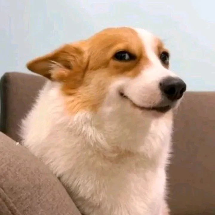 avenneilsterdias