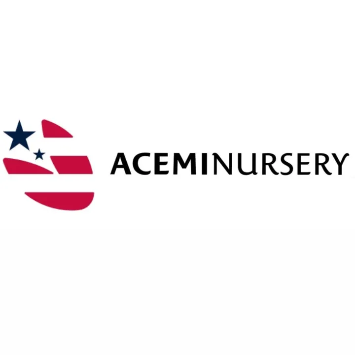 aceminursery