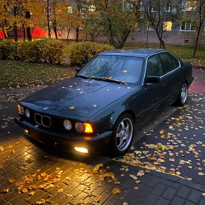 suicide_bmw