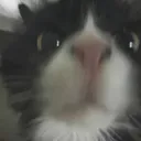 @coolerchemist
