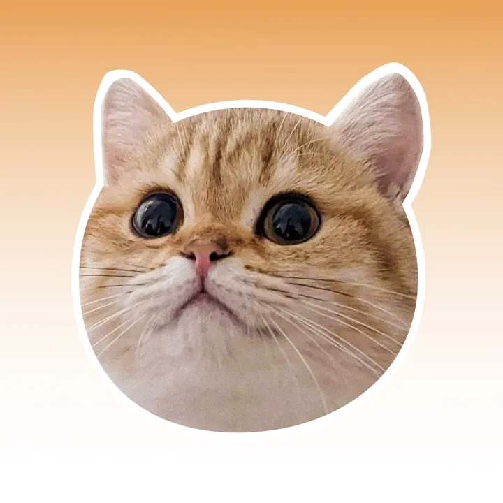 papayaho.cat