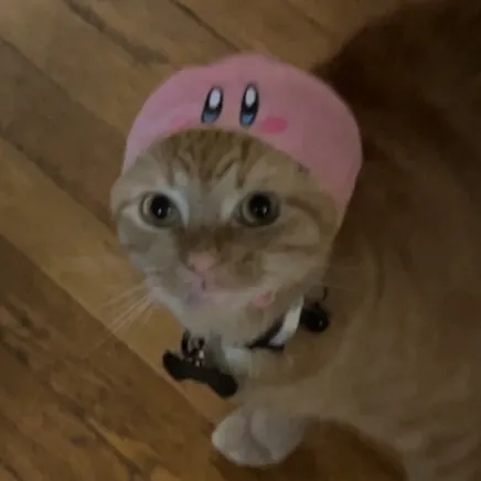 zoeeeeemama06