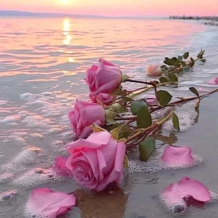@1manpreet12
