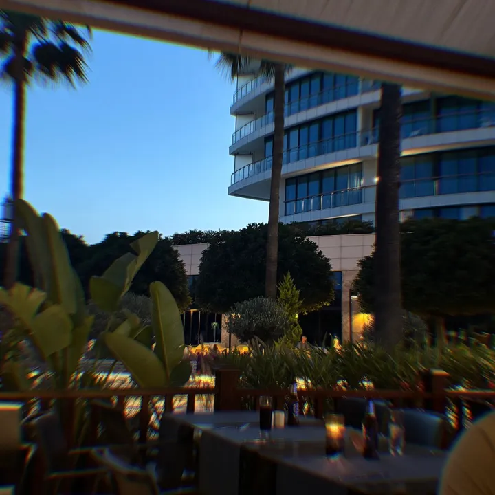008131145_x