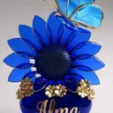 @alma12355669