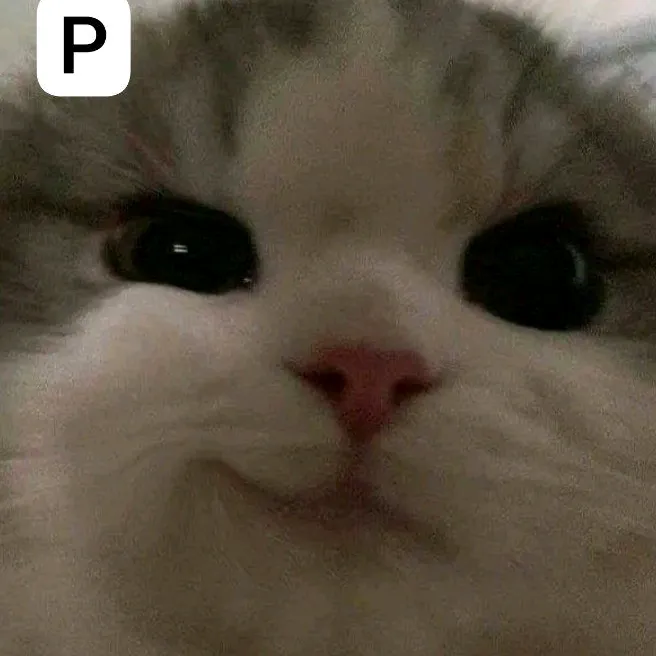 sashasashenka_