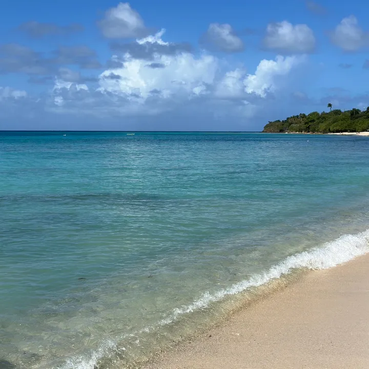 @saltybeach1111