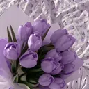 @this_girlangel