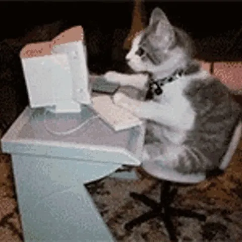theyellingkitty