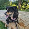 claire_.hund