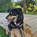 @claire_.hund
