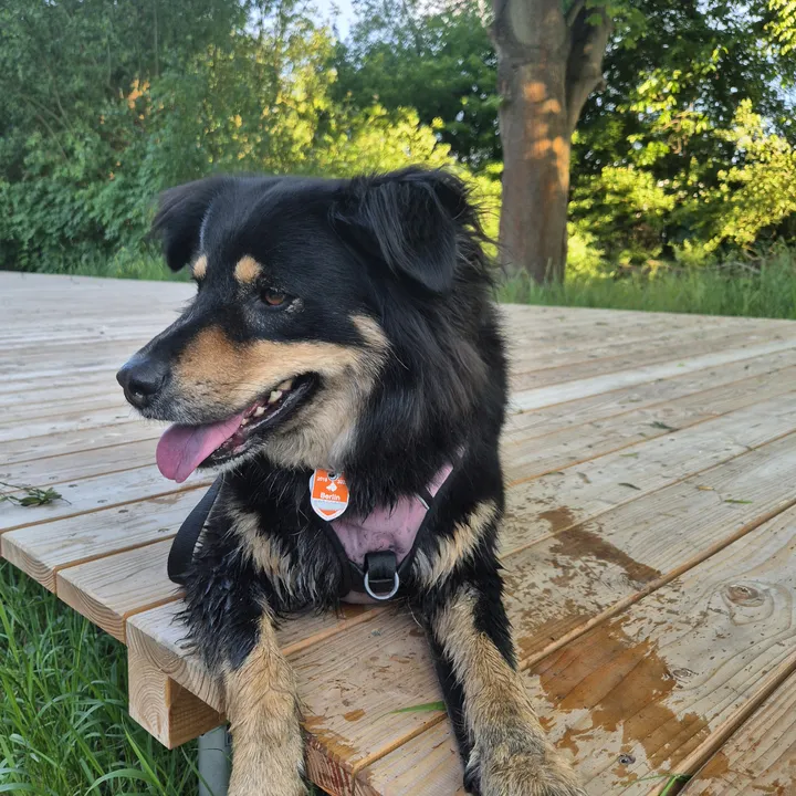 claire_.hund