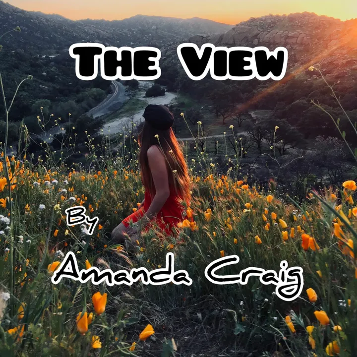 amandacraig35