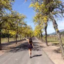 @anabananaa__22