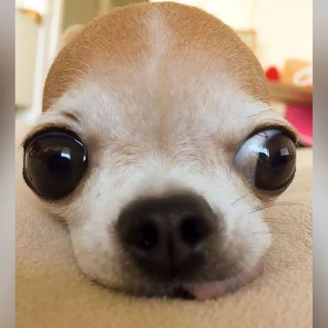@zombieneedbrainz