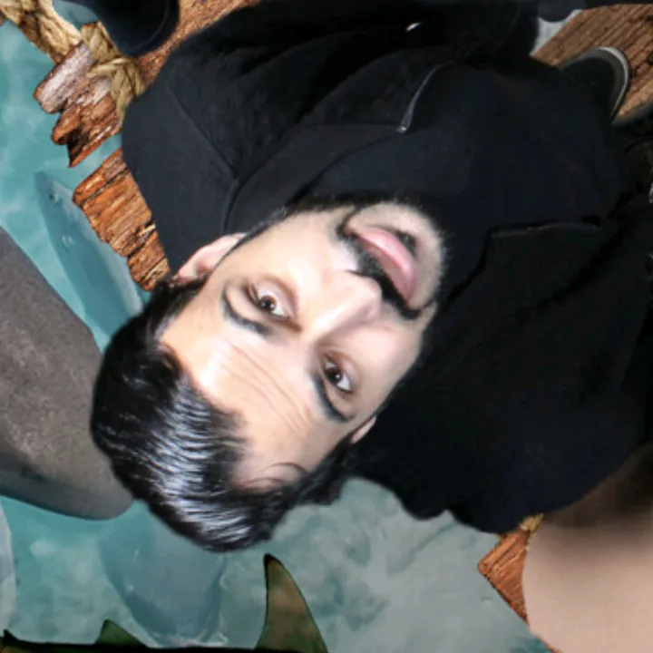 beastpathaan