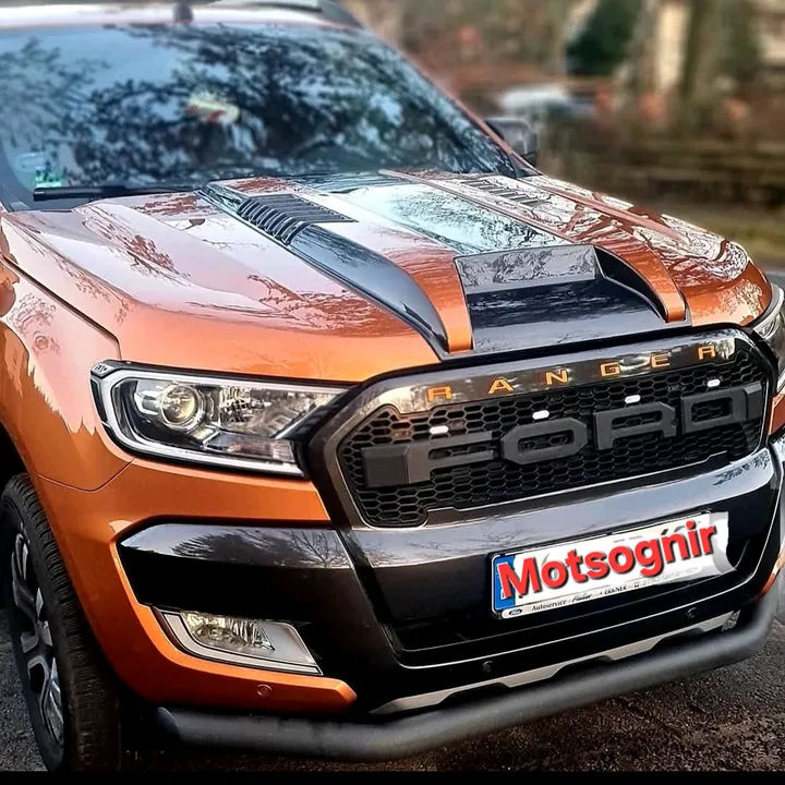 motsognir