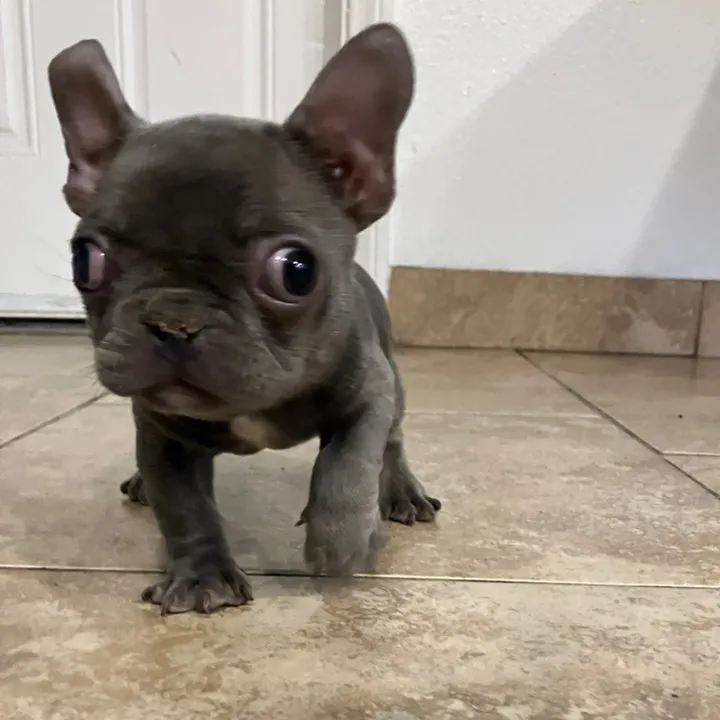 edgar79210