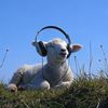 80smusic670