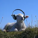 @80smusic670