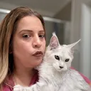 @mainecoontexas