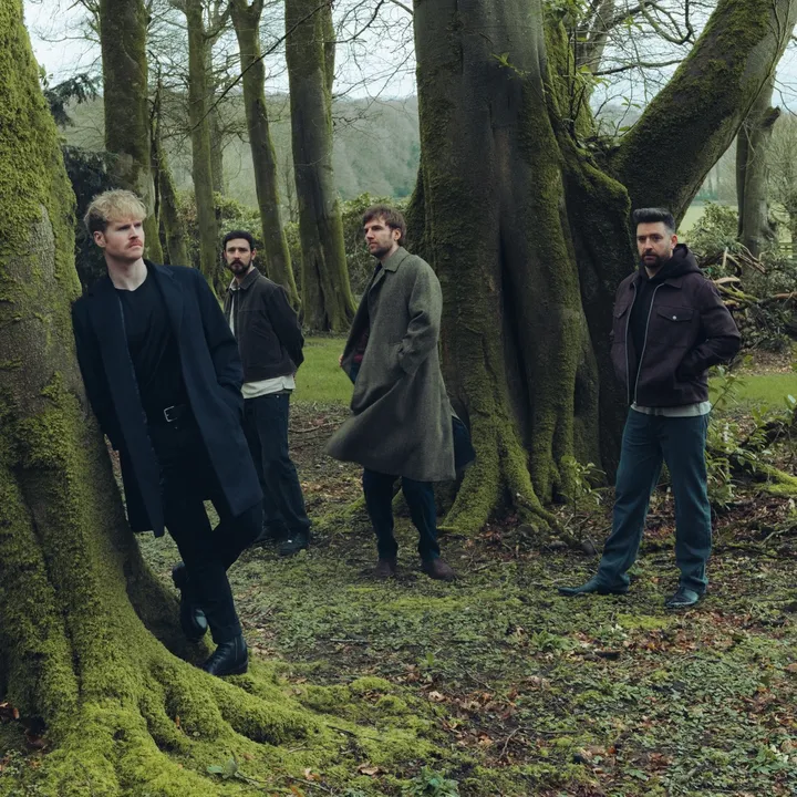 kodaline.band