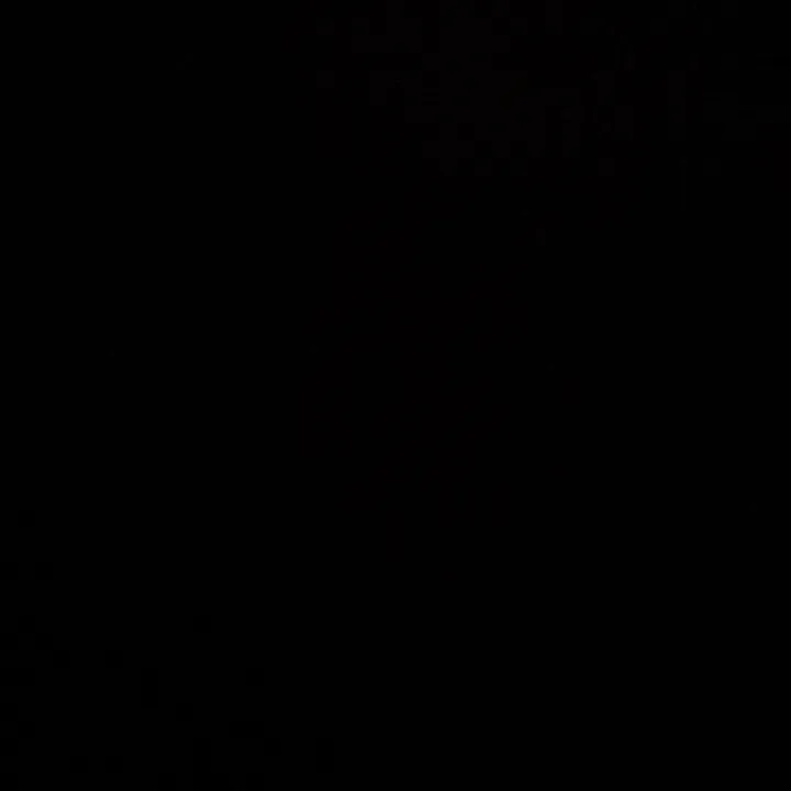 ines_37a
