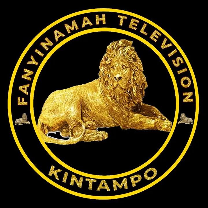fanyinama.tv
