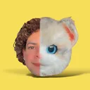 @thecat2025