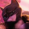 kittysoftpawsfan