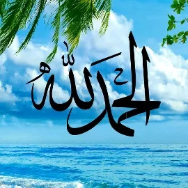 @mohamedmeddeb28