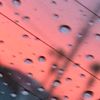 carolineward06