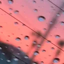 @carolineward06
