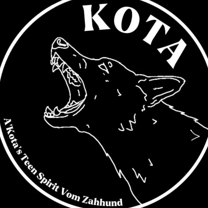 gsd_.k0ta