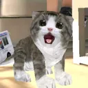 @xexemeow