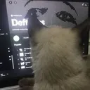 @my.h4rt