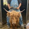 tennesseetedminifarm