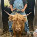 @tennesseetedminifarm