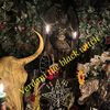 verdanilabrujanegra6