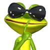 siesta.key.frog.h