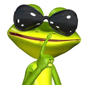 siesta.key.frog.h