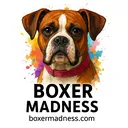@boxermadness