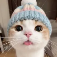 pet.giggle001