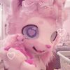 princesskonn
