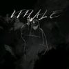 vvhalestories