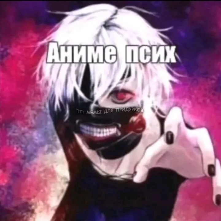 @n1kaaq0