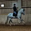 @equestriella